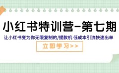 小红书特训营-第七期 让小红书变为你无限复制的/提款机 低成本引流快速出单