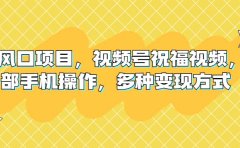新风口项目，视频号祝福视频，一部手机操作，多种变现方式