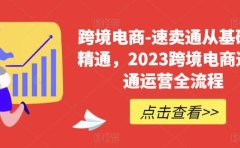 速卖通从0基础到精通,2023跨境电商-速卖通运营实战全流程