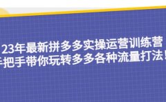 23年最新拼多多实操运营训练营：手把手带你玩转多多各种流量打法！