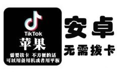 tiktok海外版短视频操作教程(苹果/安卓)，帮助国内也能刷海外版抖音