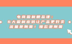 电商 盈利精品课:6大盈利 密码让产品更好卖,流量是刚需!爆款是刚需