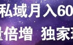 原力网赚精准私域月入60000+,流量倍增独家玩法