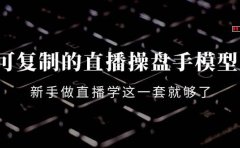 可复制的直播操盘手模型:新手做直播就学这一套就够了(12节课)
