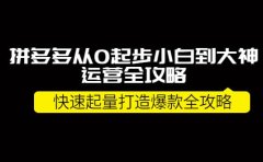 拼多多从0起步小白到大神运营全攻略