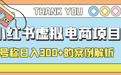 最新小红书项目-学科虚拟资料搞钱玩法，案例解析