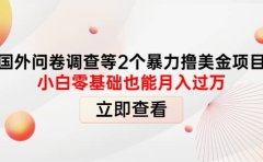 国外问卷调查等2个暴力撸美元项目，小白零基础也能月入过万