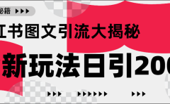 小红书图文引流，只需一张图片即可撬动百万流量，日引200+创业粉