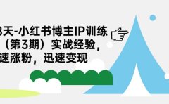 28天-小红书博主IP训练营(第3期)实战经验,快速涨粉,迅速变现