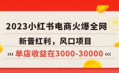 2023小红书电商火爆全网,新晋红利,风口项目,单店收益在3000-30000