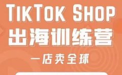 疯人院:TikTok Shop出海训练营(一店卖全球),出海抢占全球新流量