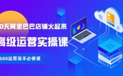 【90天阿里巴巴店铺火起来】高级运营实操课，1688运营高手必修课
