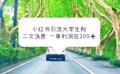 小红书引流大学生粉,变现项目,一单利润在200+(教程+资源)