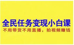 抖音全民任务变现小白课，不用带货不用直播，拍视频就能赚钱