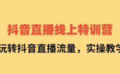 抖音直播线上特训营：玩转抖音直播流量，实操教学