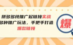 拼多多纯推广起链接实战：多种推广玩法，手把手打造爆款链接