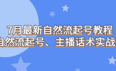 7月最新自然流起号教程,自然流起号、主播话术实战课