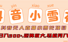 小雪花项目,抖音无人直播,单号日入300+,矩阵放大,轻松月入3W+