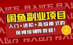 月入过万闲鱼副业项目：入门+进阶+高级模式的保姆级辅导教程