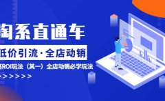 淘系直通车《低价·引流 全店·动销》超高ROI玩法（其一）全店动销必学玩法