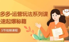 2023拼多多-运营玩法系列课：快速起爆秘籍（5节视频课）