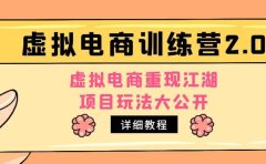 小红书虚拟电商训练营2.0，虚拟电商重现江湖，项目玩法大公开【详细教程】