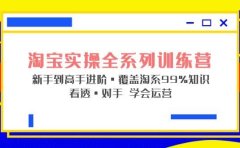 淘宝实操全系列训练营 新手到高手进阶·覆盖·99%知识 看透·对手 学会运营
