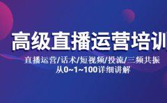 高级直播运营培训 直播运营/话术/短视频/投流/三频共振 从0~1~100详细讲解