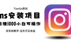 帮别人安装ins,一单赚10元-30元不等,可以日入千元(当天见收益)