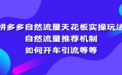 拼多多自然流量天花板实操玩法：自然流量推荐机制，如何开车引流等等