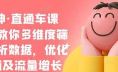 盗坤·直通车课程，教你多维度筛选分析数据，优化店铺及流量增长