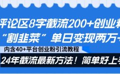评论区8字截流200+创业粉“割韭菜”单日变现两万+24年截流最新方法！