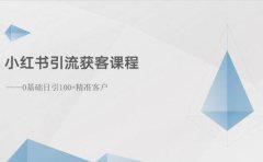 小红书引流获客课程：0基础日引100+精准客户