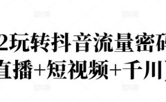 2022玩转抖音流量密码，(直播+短视频+千川)