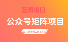蓝海公众号矩阵项目训练营,0粉冷启动,公众号矩阵账号粉丝突破30w