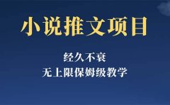 经久不衰的小说推文项目,单号月5-8k,保姆级教程,纯小白都能操作