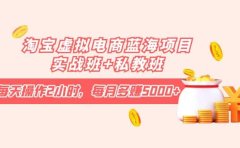 淘宝虚拟电商蓝海项目实战班+私教班