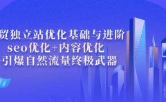 外贸独立站优化基础与进阶，seo优化+内容优化+引爆自然流量终极武器