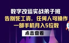 数字 改运实战弟子班:告别死工资,任何人可操作,一部手机月入5位数