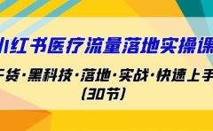 小红书·医疗流量落地实操课,干货·黑科技·落地·实战·快速上手(30节)