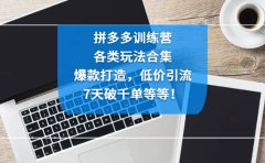 拼多多训练营：各玩法合集，爆款打造，低价引流，7天破千单等等