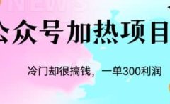 冷门公众号加热项目,一单利润300+