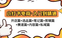 小红书电商入门到精通 开店篇+选品篇+笔记篇+剪辑篇+赛道篇+内容篇+私域篇