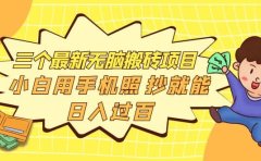 三个最新无脑搬砖项目，小白用手机照抄就能日入过百