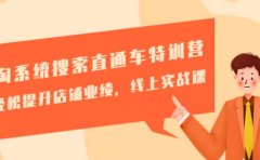 淘系统搜索直通车特训营-第三期：轻松提升店铺业绩，线上实战课