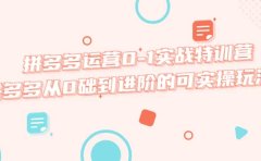拼多多运营0-1实战特训营，拼多多从0础到进阶的可实操玩法