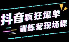 抖音短视频疯狂-爆单训练营现场课（新）直播带货+实战案例