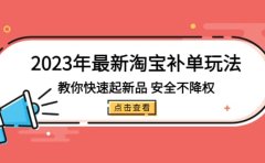 2023年最新淘宝补单玩法，教你快速起·新品，安全·不降权（18课时）
