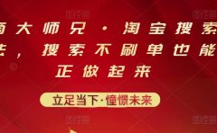 电商大师兄·淘宝搜索新玩法，搜索不刷单也能真正做起来