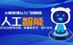 AI精英课从入门到精通,丰富的实战案例讲解,跟着案例学,提升自我